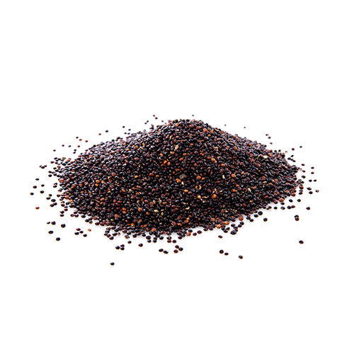 Seeds