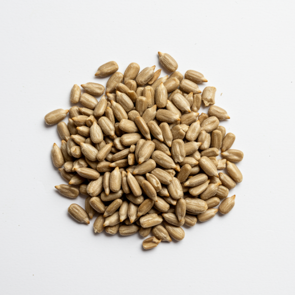 Sunflower Seed